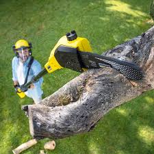 Best Emergency Tree Removal  in Brownsville, KY