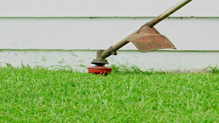 Best Lawn Irrigation Installation and Maintenance  in Brownsville, KY