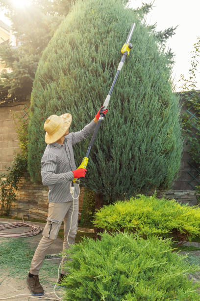 Best Artificial Turf Installation  in Brownsville, KY